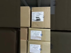 주식에서 새로운 원형